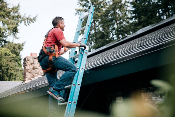 Best Roof Insulation Installation  in Chlicothe, IL